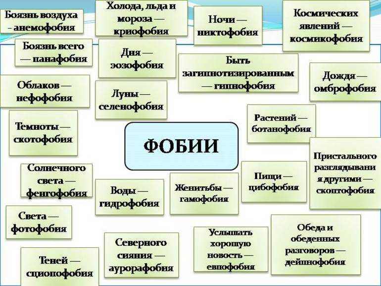 Земфира: «мне нужна тишина» | colta.ru
