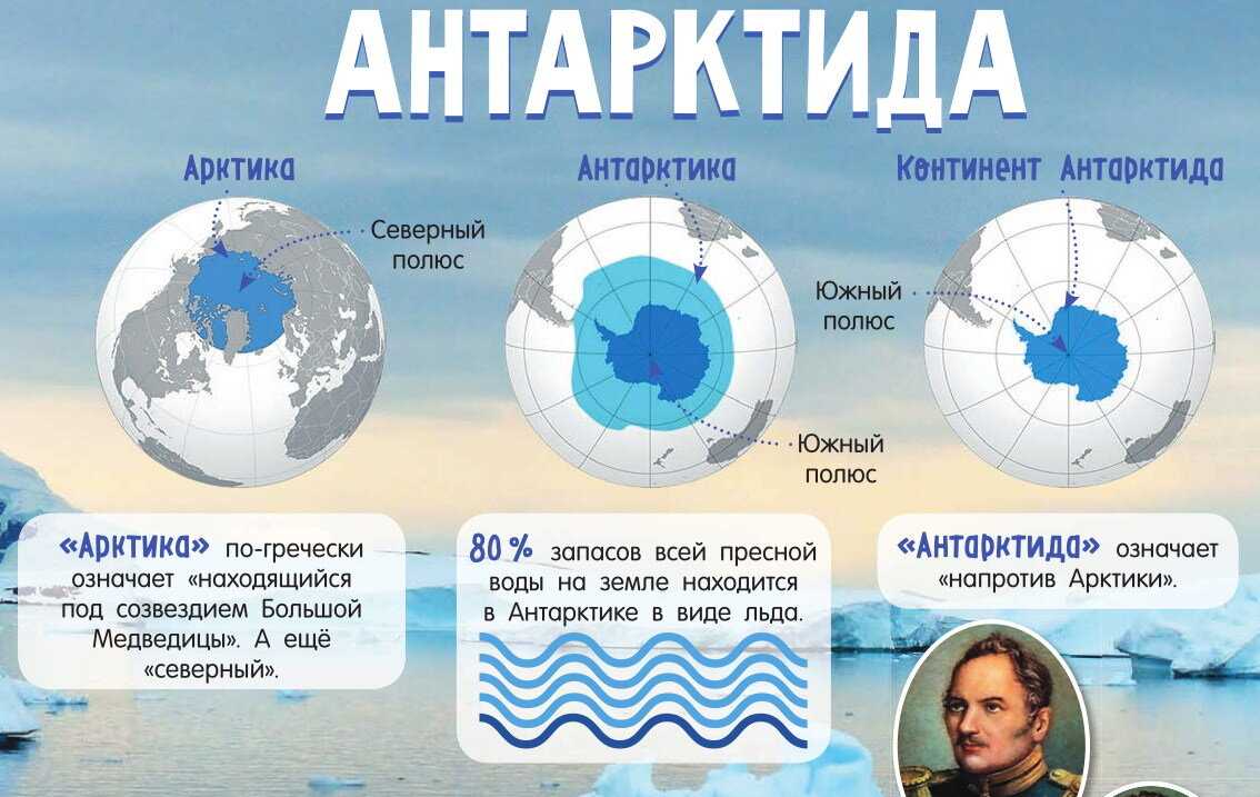 Почему в антарктиде нет собак, что такое «кровавый» водопад и другие мароизвестные факты о самом суровом континенте