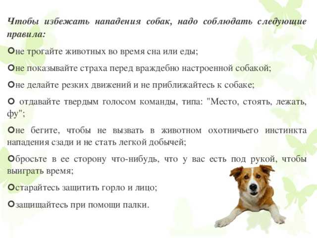 ᐉ как отучить собаку лаять на людей - ➡ motildazoo.ru