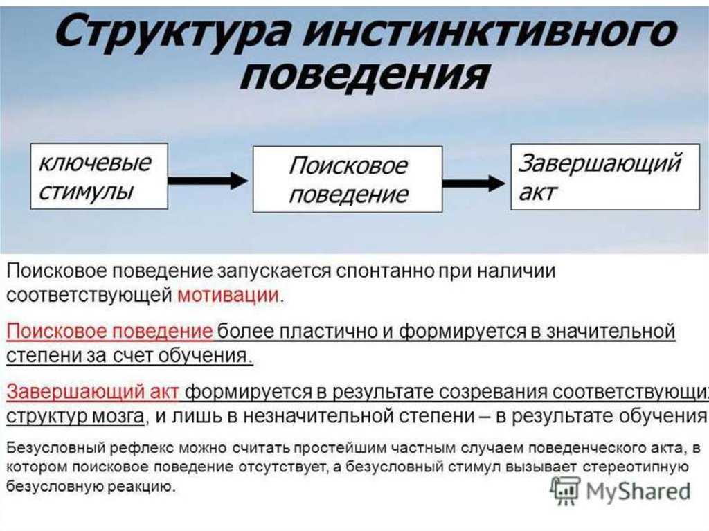 Глава 12. а что с инстинктами?. открытое подсознание [как влиять на себя и других]