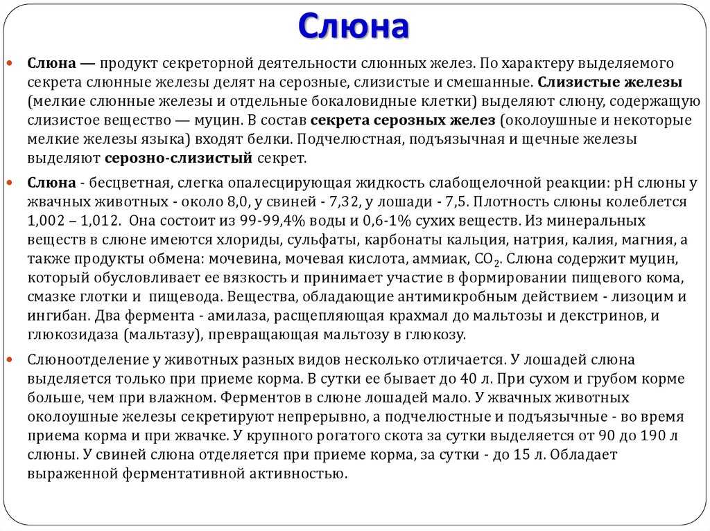 Почему во время сна текут слюни - как избавиться от выделений изо рта после сна