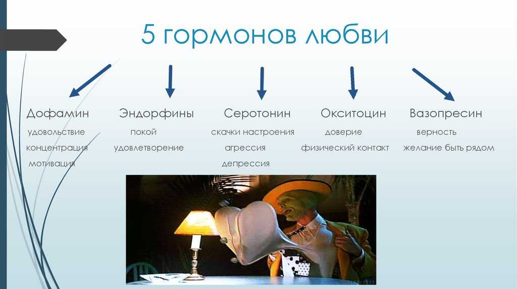 Любовь - это волшебство, способное доставить удовольствие и причинить боль Но задумывались ли вы над любовью с научной точки зрения Как действуют гормоны и феромоны, почему краснеют щёки и бьётся сердце чаще Подробнее обо всём читайте в статье