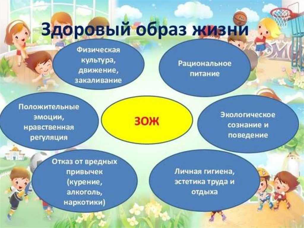 Информация о формировании здорового образа жизни