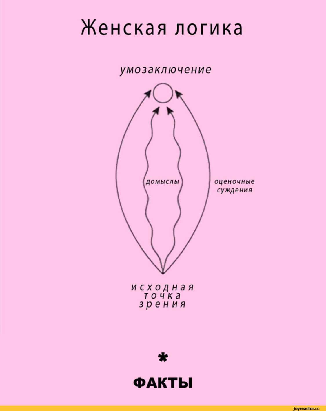 Мужская и женская логика: в чем разница