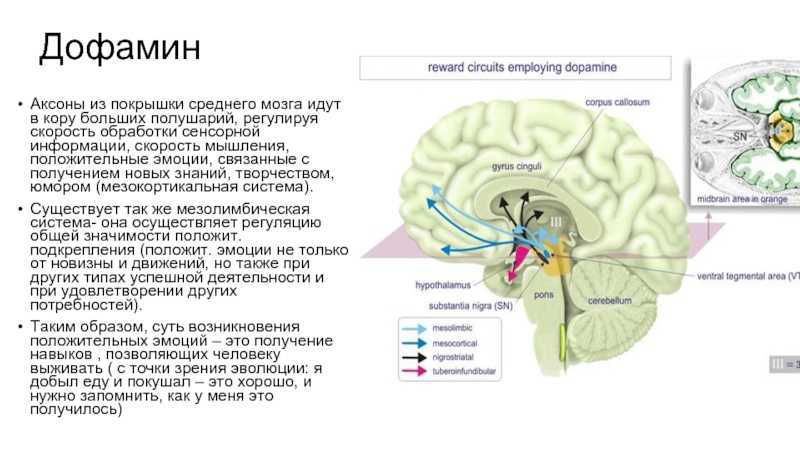 Почему люди убивают? что толкает человека на убийство?