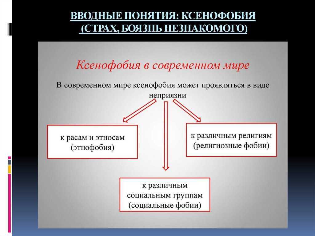 Ксенофобия (страх перед иностранцами) — виды и профилактика