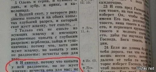 Проблема со свининой - почему мусульмане не могут есть свинину? - религия ислам