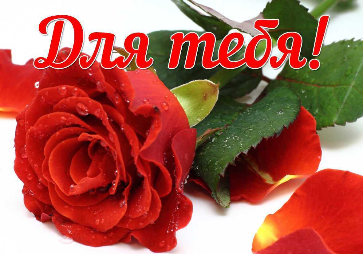 Комплименты девушке своими словами о ее красоте и внешности