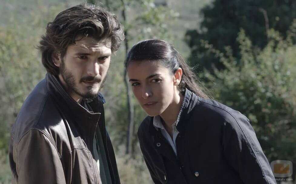Список лучших сериалов законченных нетфликс: топ 28 с описанием и сюжетом, рейтинг