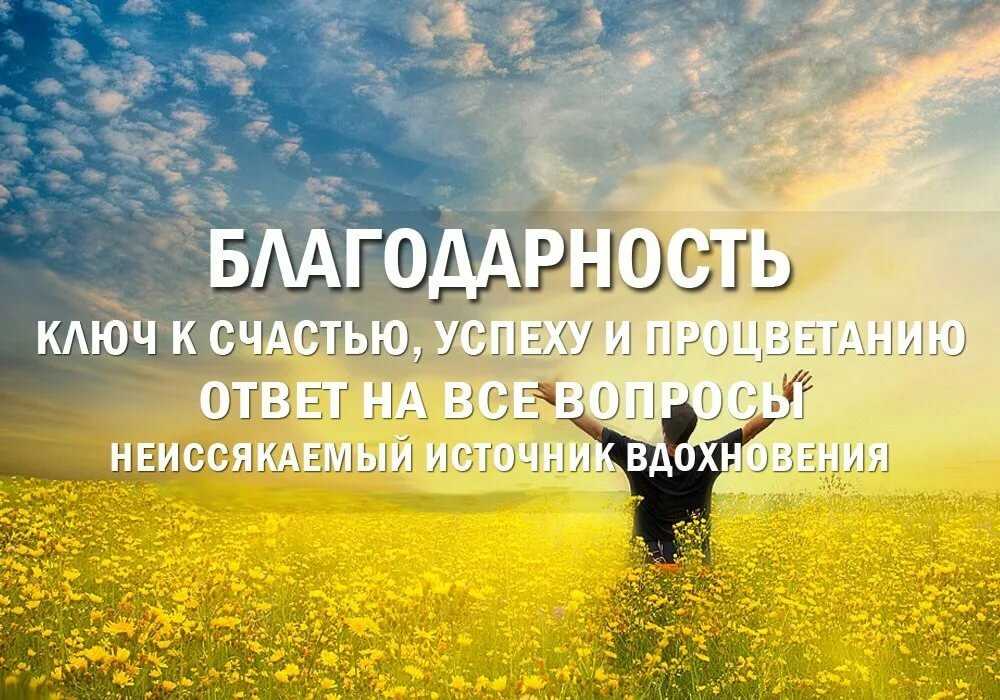 Как интроверту стать общительнее — гид для интроверта