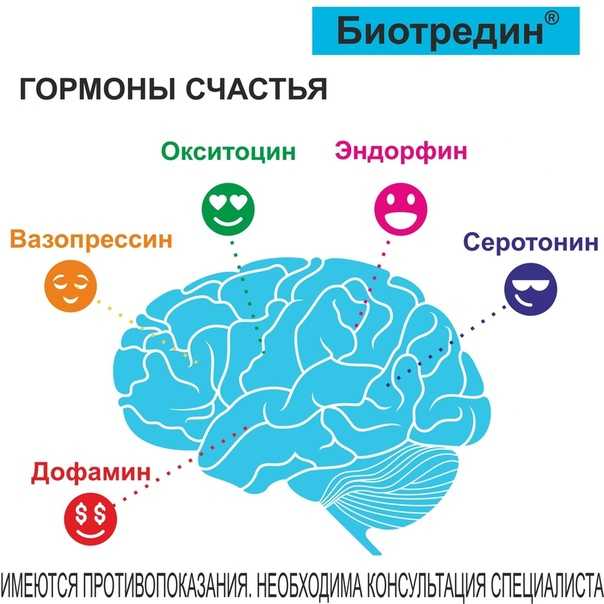 Что такое любовь: понятное и пошаговое объяснение - mental sky