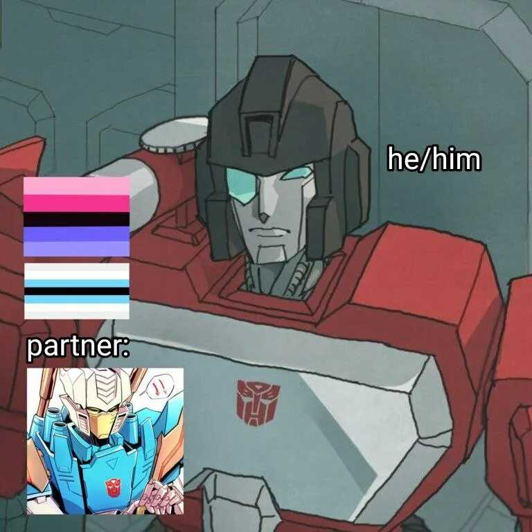 Omnisexual meaning and advocacy