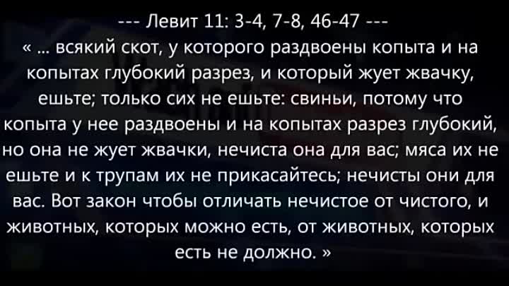Почему мусульмане не употребляют свинину: исторический, культурный и религиозный аспекты