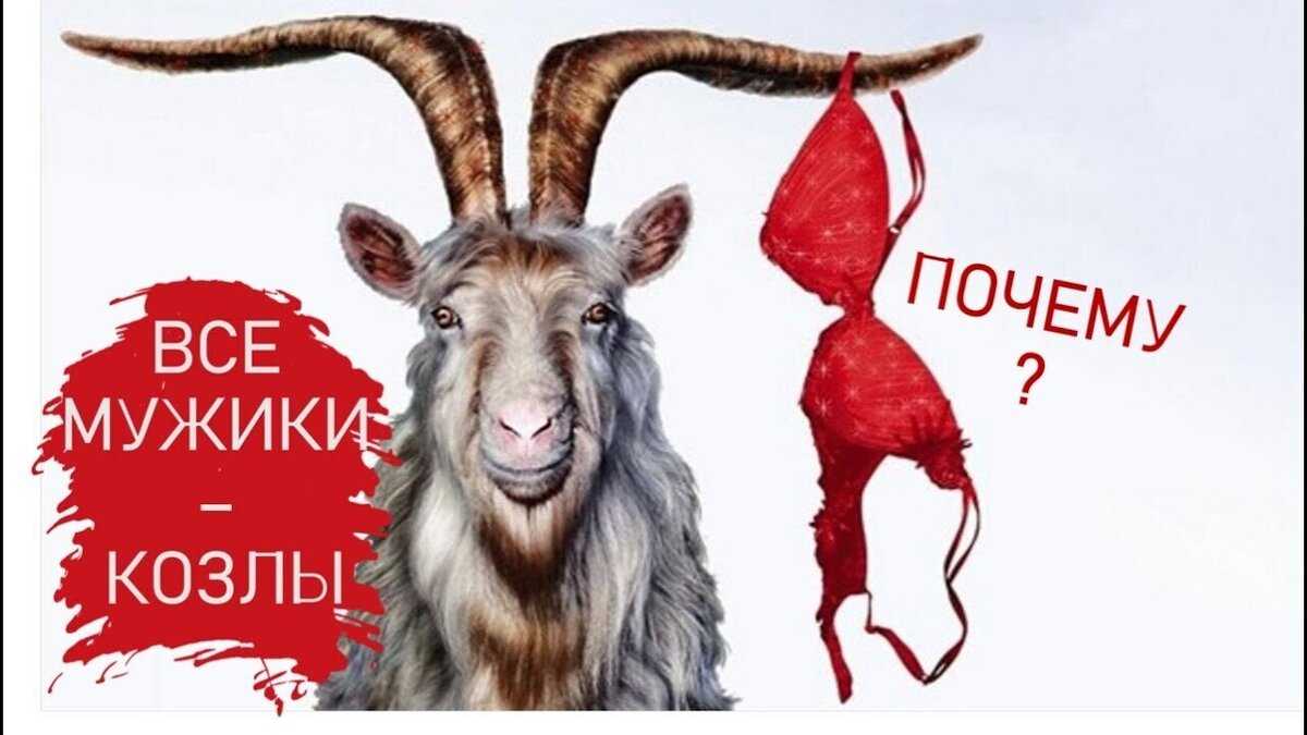 Почему мужики козлы? немного горькой правды о мужчинах