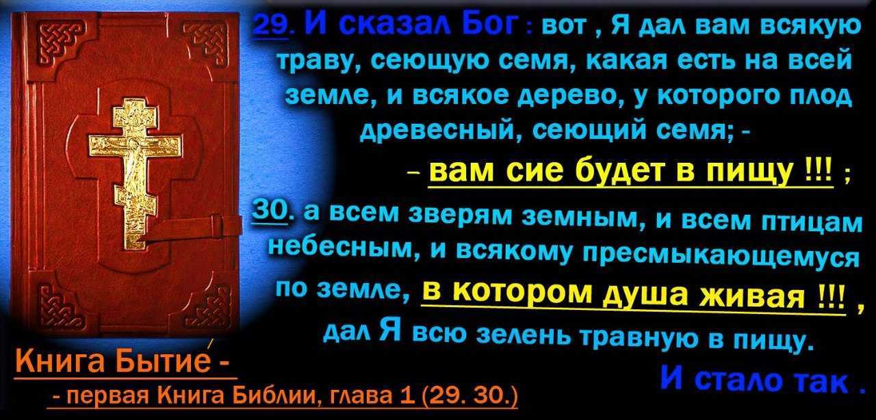Почему мусульманам нельзя есть свинину
