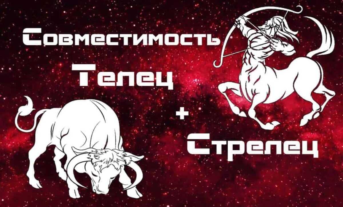 Телец - стрелец: совместимость в любовных отношениях