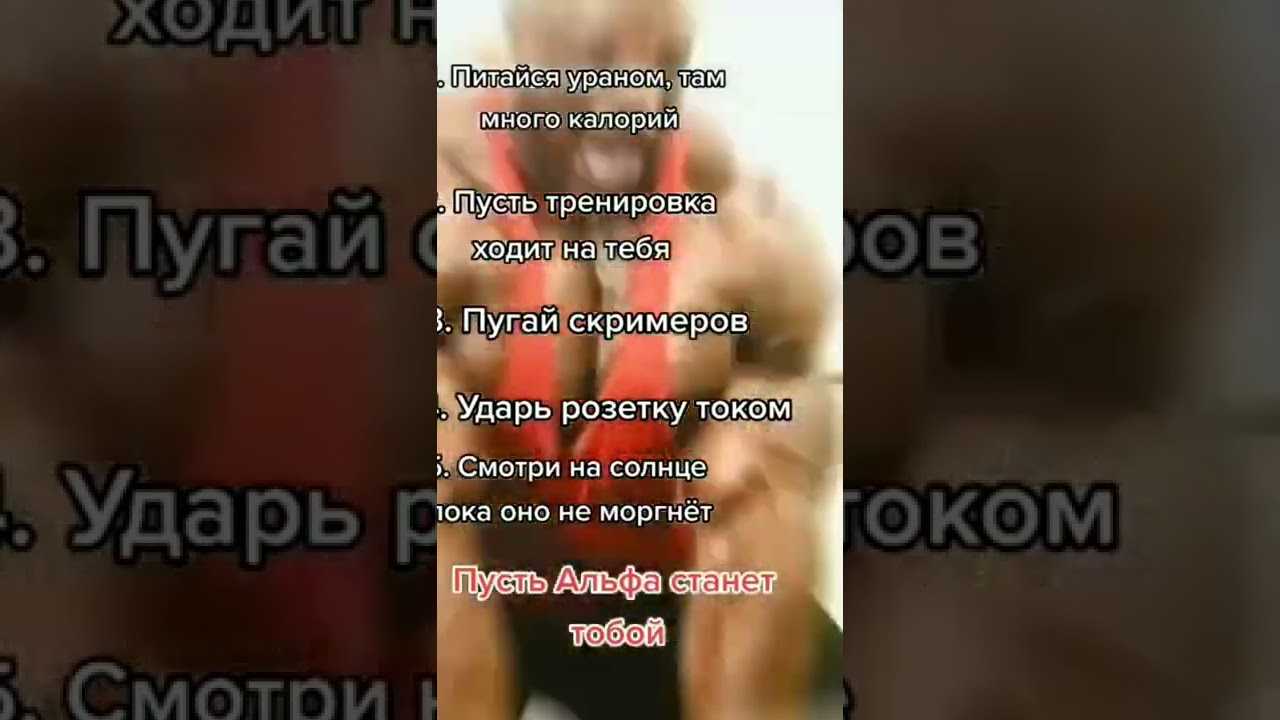 Альфа-самец и его психология - dolio.ru