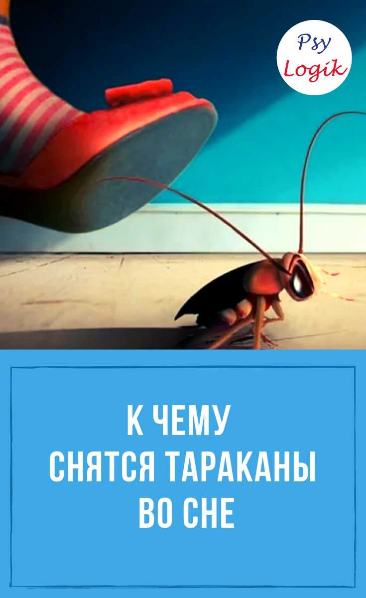 Фобии мешают жить: истории татарстанцев, которые боятся воды, пауков, мышей, клоунов и… телефона
