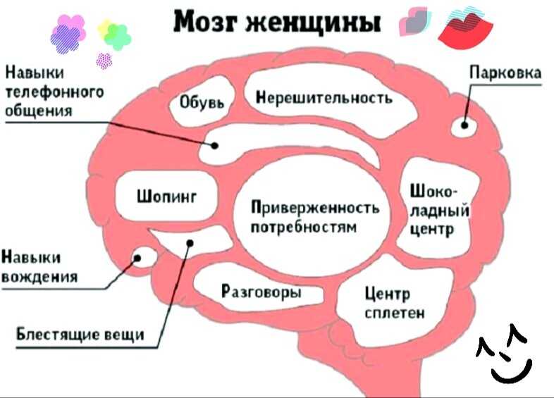 Отличия женской логики от мужской