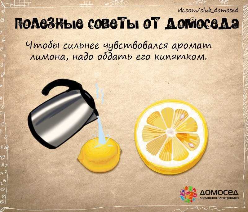 Сочинение на тему мораль