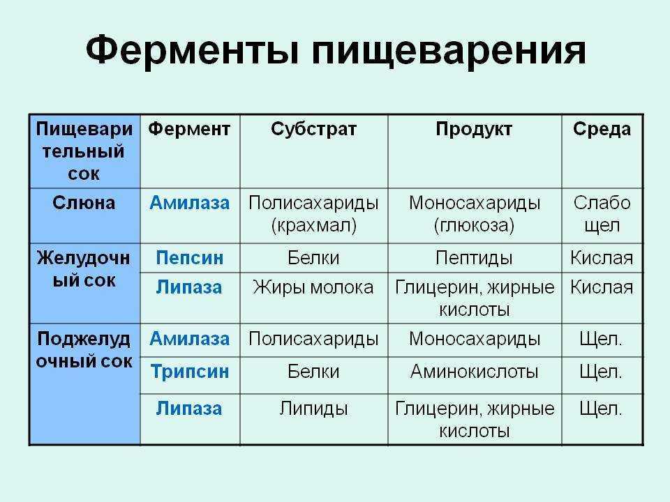 Дайджесты: что такое и зачем они нужны