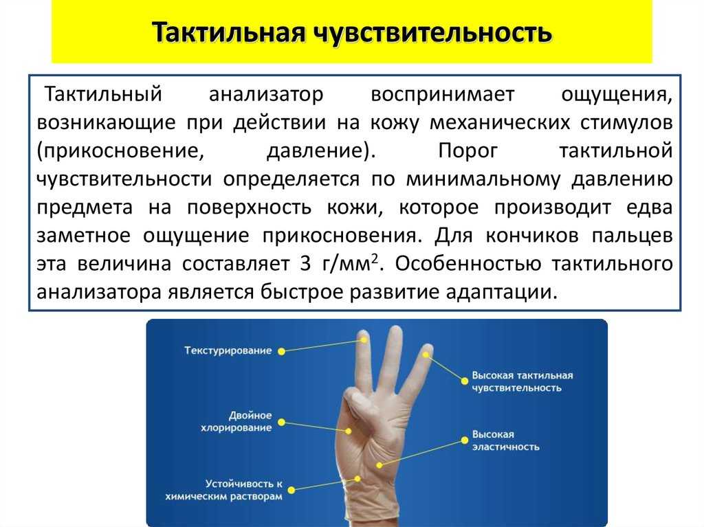 Тактильная коммуникация - nasledie digital