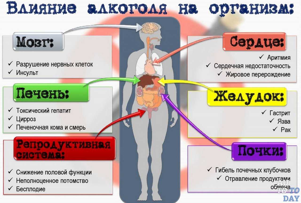 Жить на большой высоте: мифы и реальность
