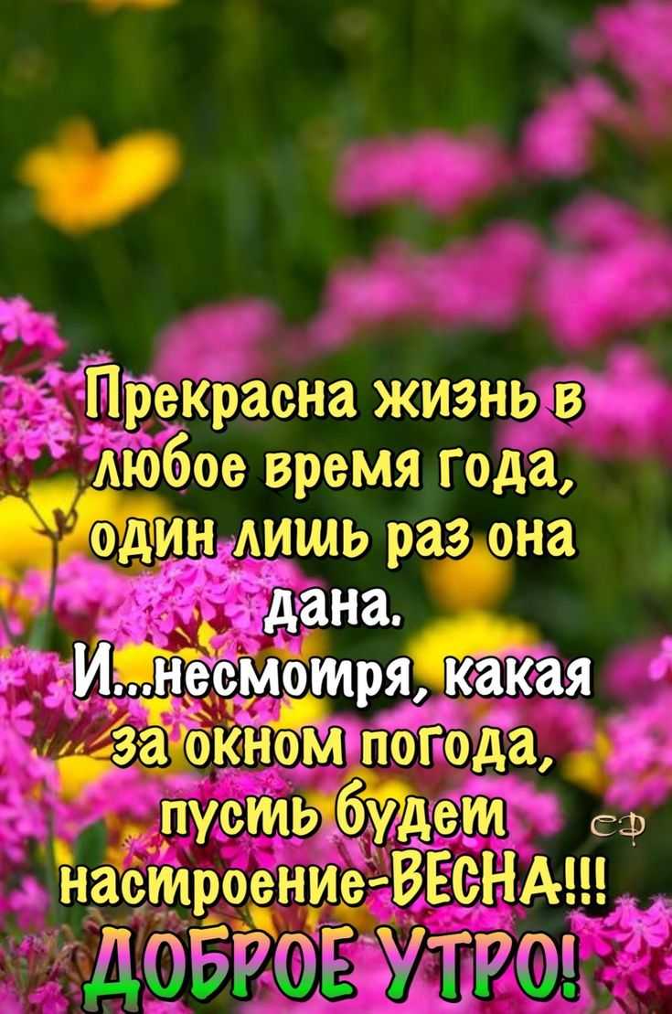 Пожелания с добрым утром из фильма цитата