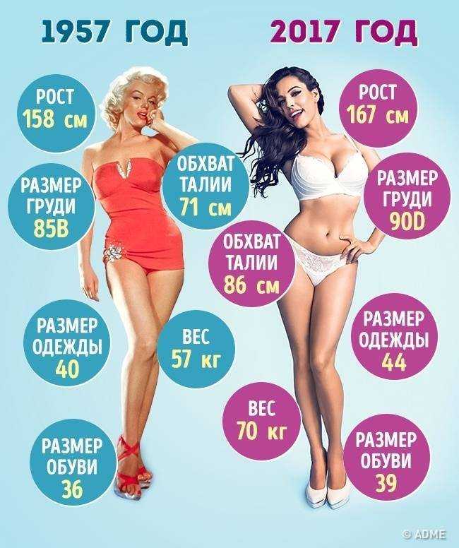 Идеальная женская фигура и пропорции по мнению мужчин