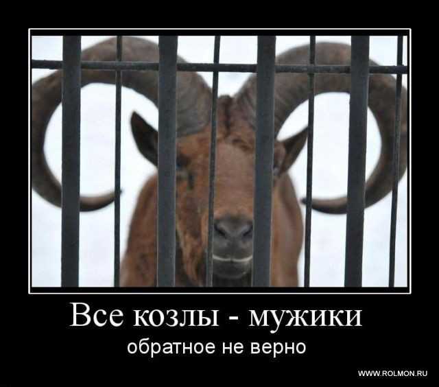 Правда ли то, что все мужики козлы? почему девушки так говорят?