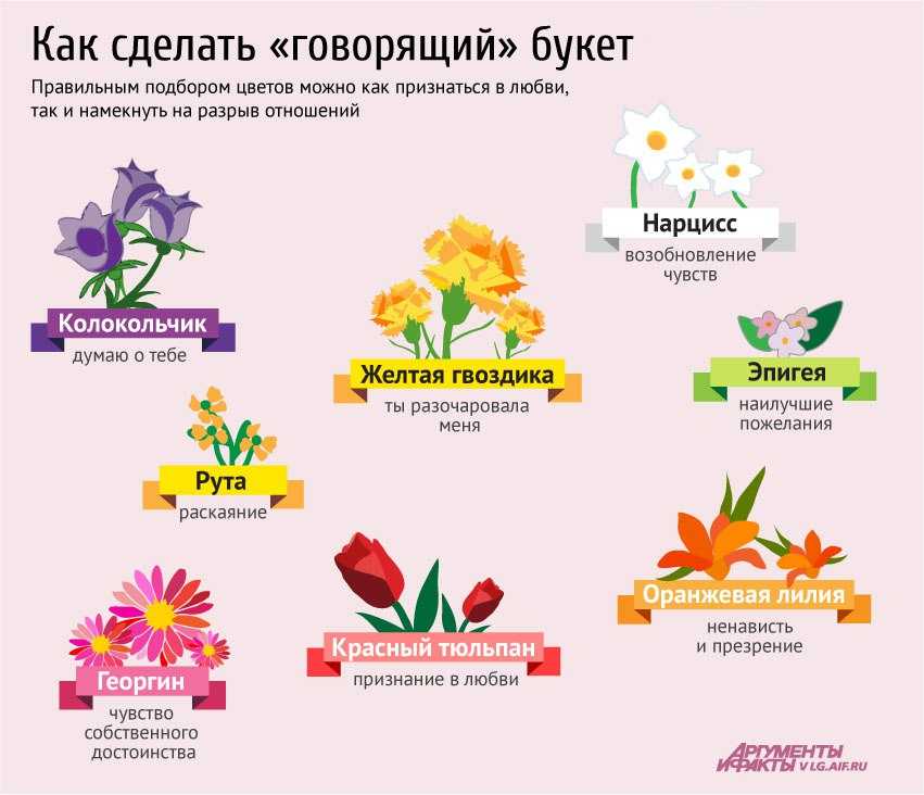 К чему дарят розы и другие цветы?