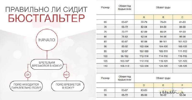 Виды женского нижнего белья, все типы (с фото): корсеты, бюстгальтеры, трусы, комбинации.