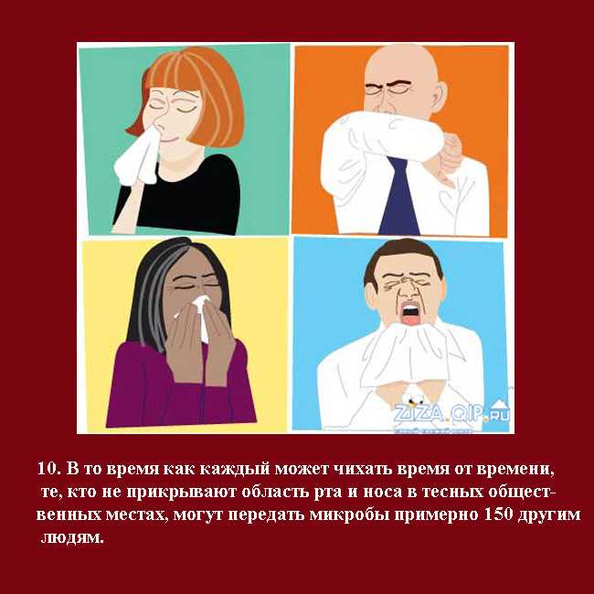 Чихание как симптом различных болезней
