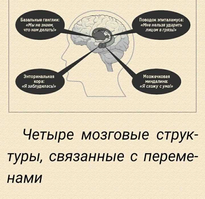 Нейробиология садизма. чем отличается мозг маньяков - reminder
reminder
