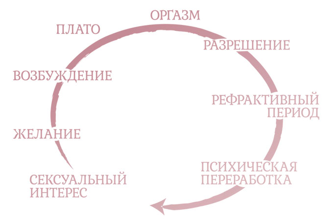 Секс и цикл