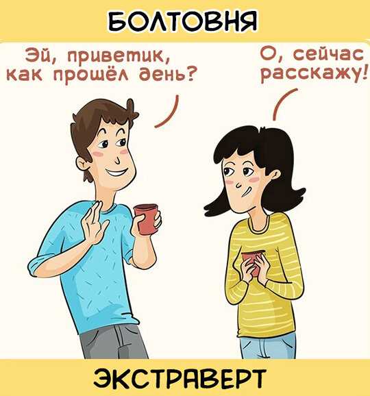 Как выжить интроверту в дружном, туды его в качель, офисе