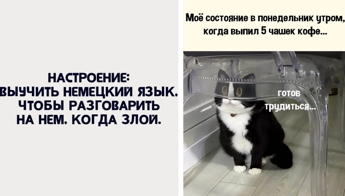 Остроумные анекдоты на все случаи жизни | коллекция анекдотов