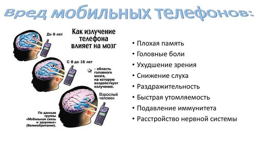 Стоит ли покупать квартиру на первом этаже: плюсы и минусы проживания - читайте в разделе учебник