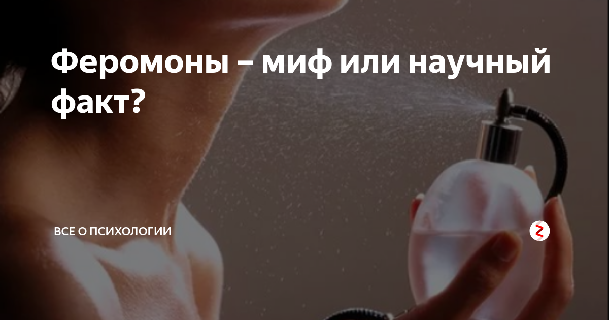 Как женские феромоны влияют на мужчин, где они выделяются Как усиливается сексуальное возбуждение при их использовании и как они действуют