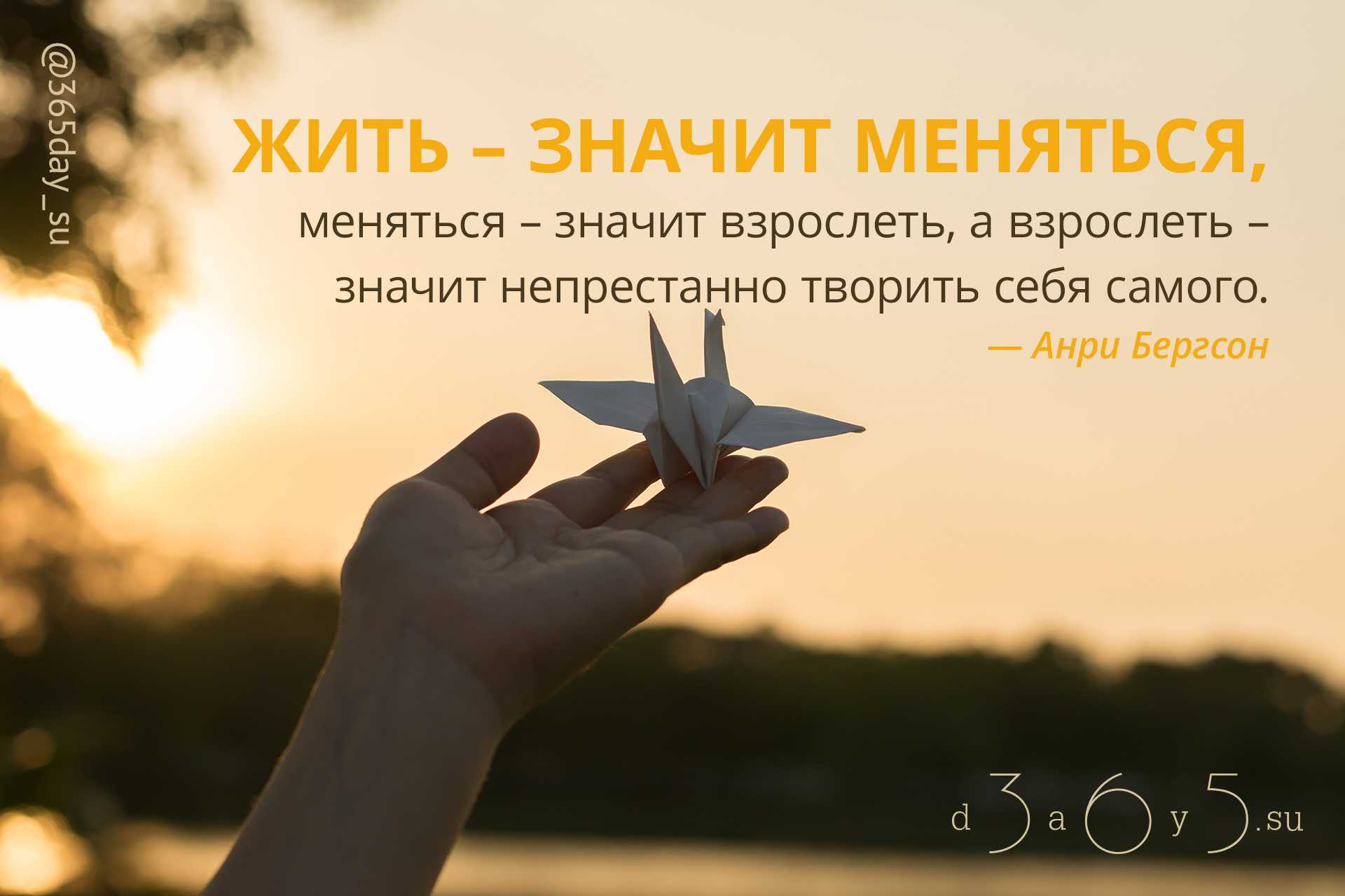 33 лучшие цитаты про спорт