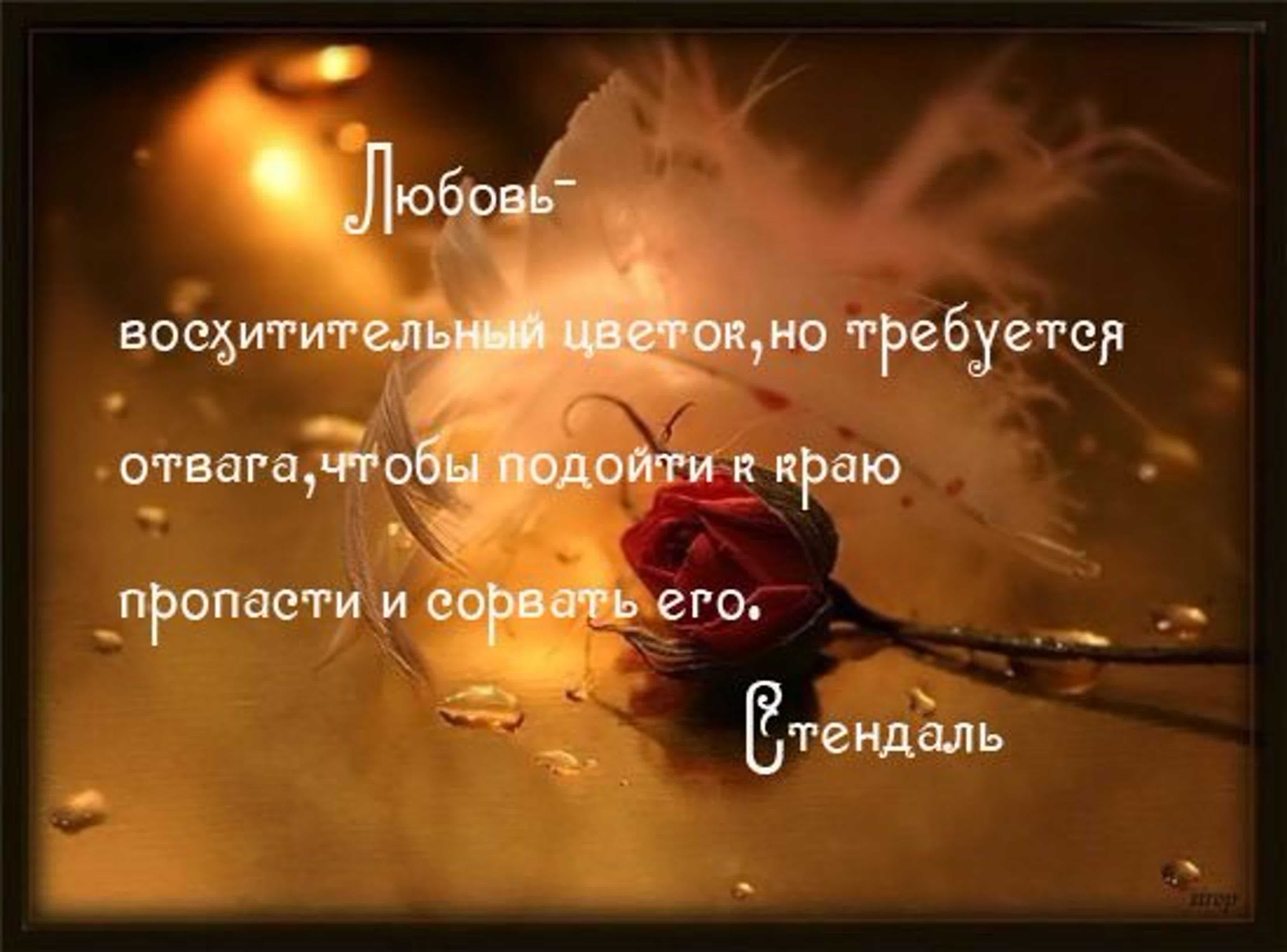 Статусы про любовь