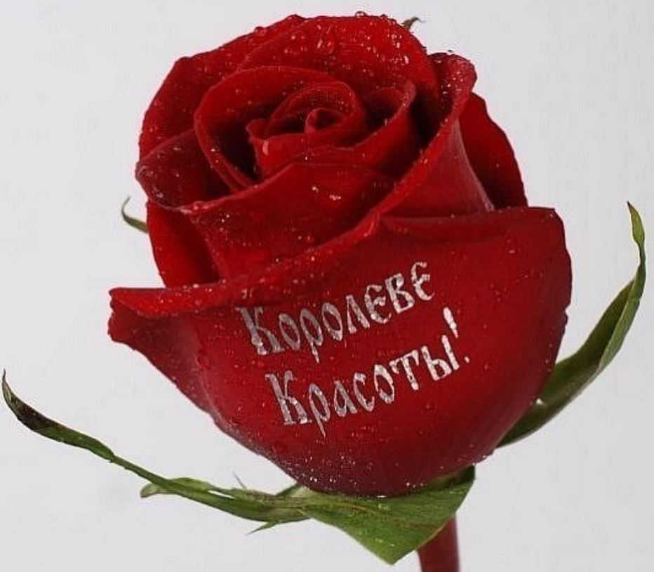Как можно удивить девушку без денег?