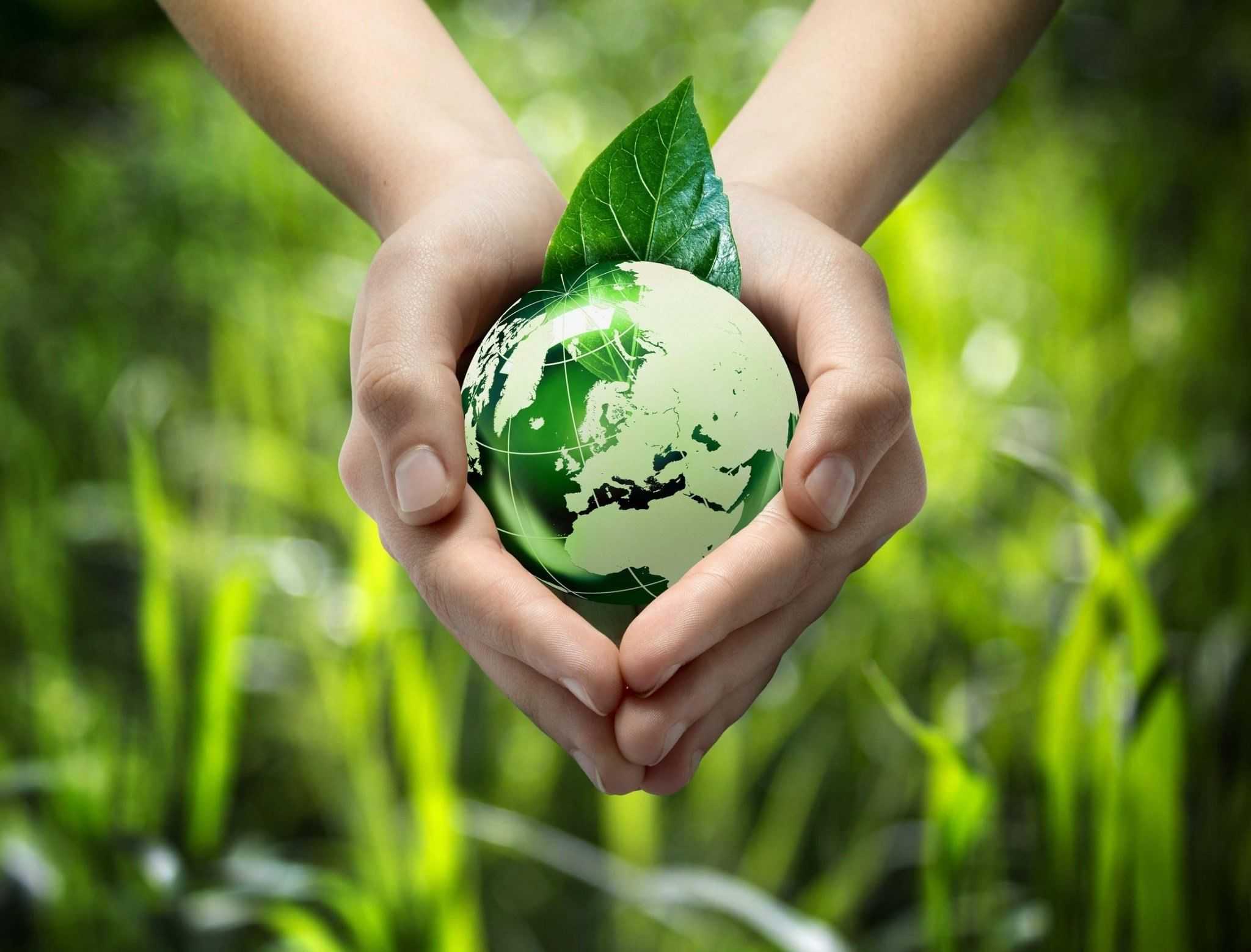 Как стать eco-friendly: 8 простых шагов | блог comfy