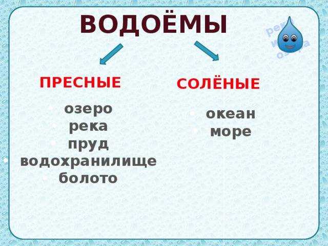 Мировой океан: его части, подробная информация, интересные факты