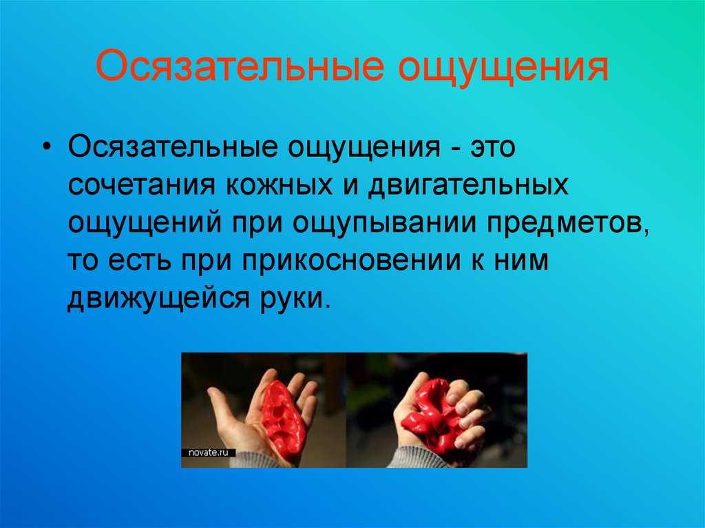 Кто такой кинестетик и как вести себя с ним