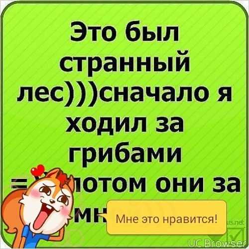 Смешные подписи и цитаты для инстаграм под фото