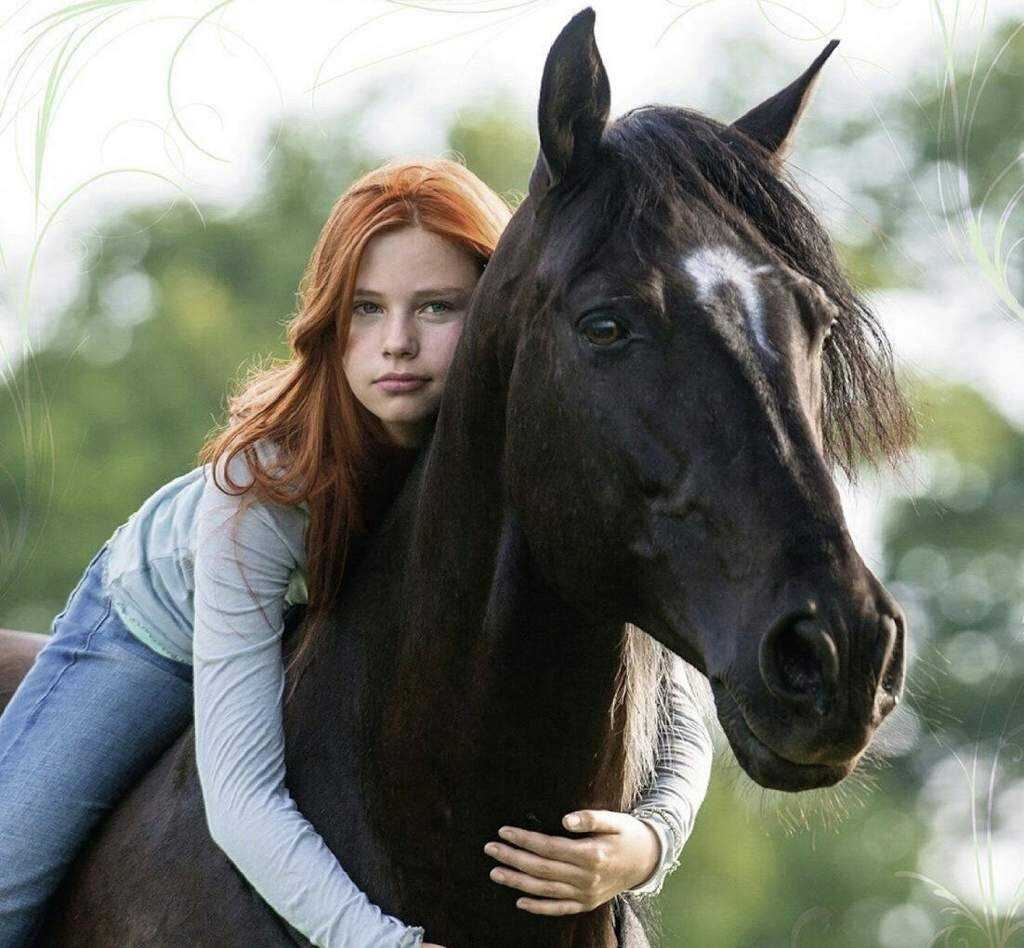 Фильмы о лошадях: список лучших фильмов новых. лучшие фильмы про лошадей – топ 52