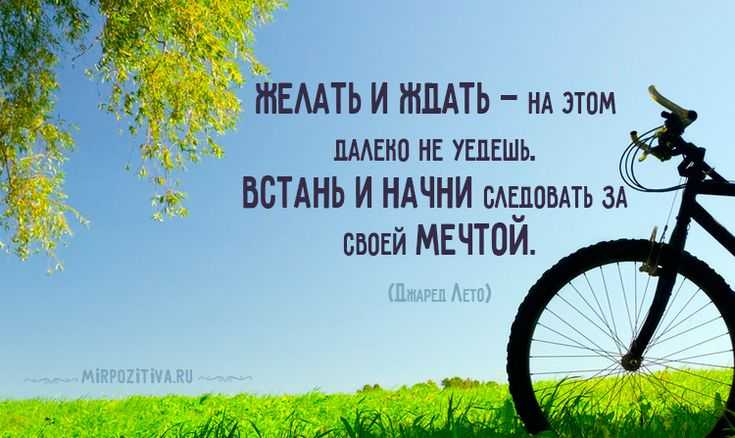 Спорт как ритм жизни. о спорте в цитатах и афоризмах