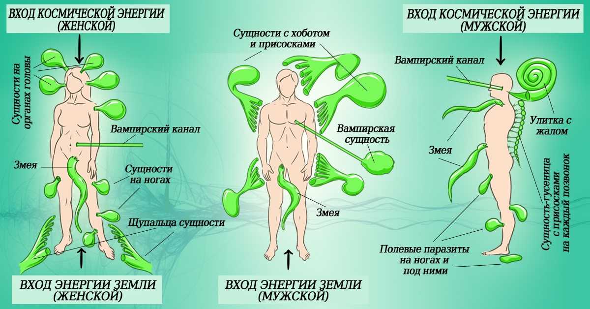 Как усилить биополе, заделать дыры в ауре, защититься от негатива и победить энерговампира?
