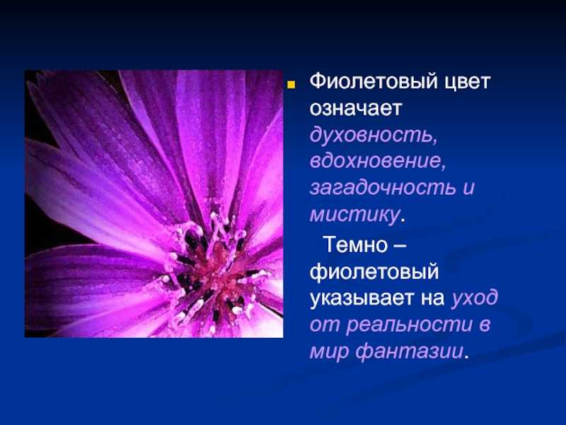 Таинственный фиолетовый: как цвет влияет на восприятие бренда — статьи на skillbox / skillbox media